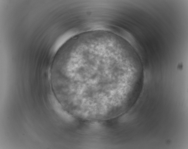 X0000113860814200910151235