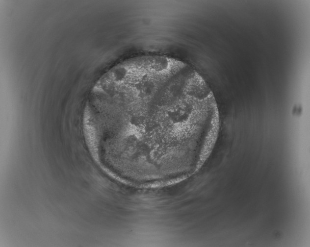 X0000113860817200910151234