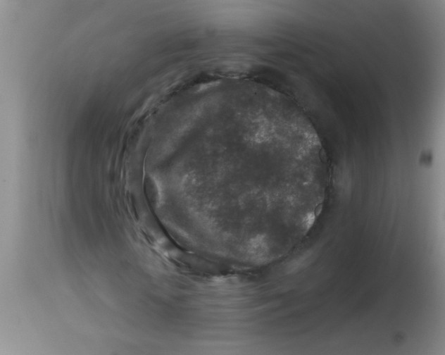 X0000113860818200910151234