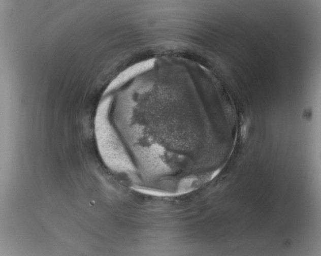 X0000113860819200910151234