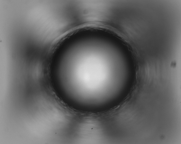 X0000113860822200910151234