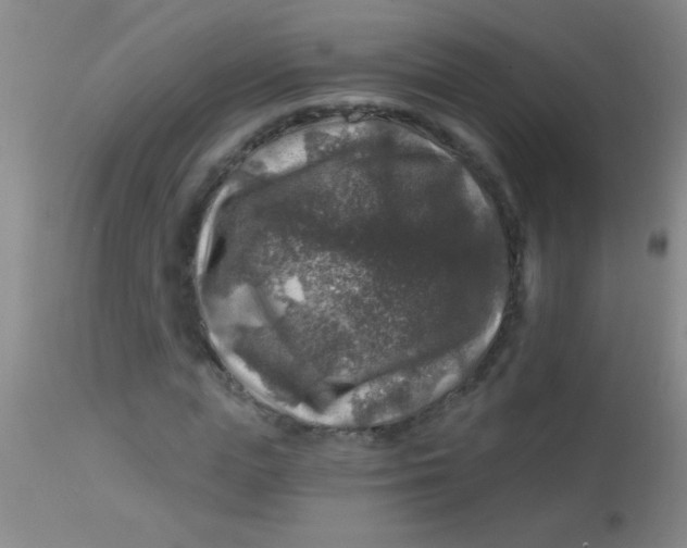 X0000113860823200910151234