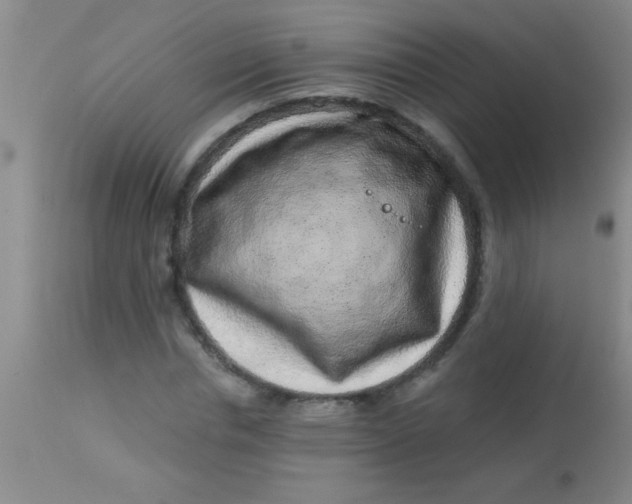 X0000113860826200910151234