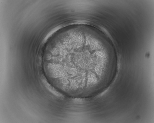 X0000113860827200910151234