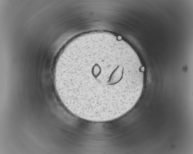 X0000113860828200910151234