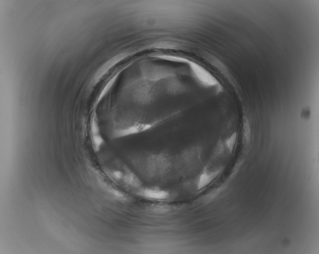 X0000113860829200910151234