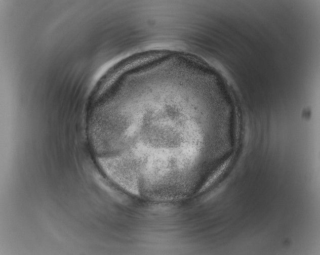 X0000113860830200910151234