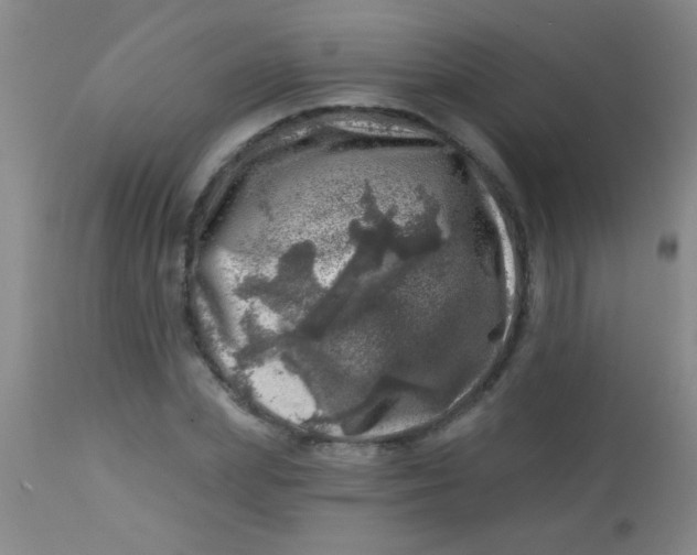 X0000113860831200910151234