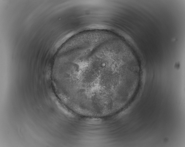 X0000113860833200910151234