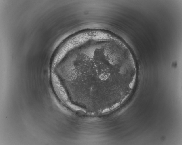 X0000113860837200910151234