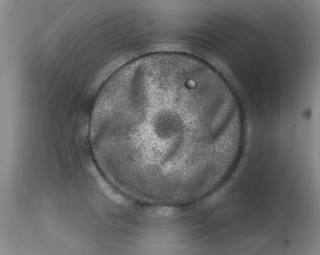 X0000113860841200910151234