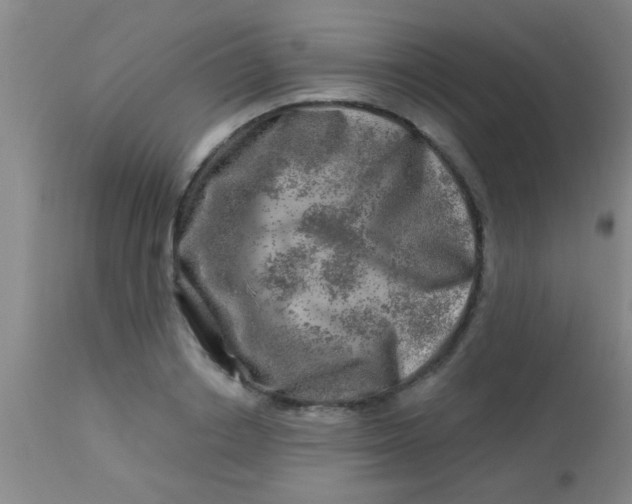 X0000113860842200910151234