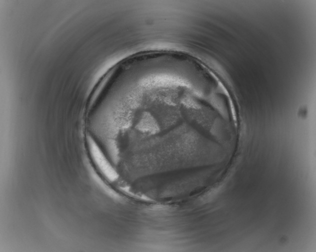 X0000113860847200910151234