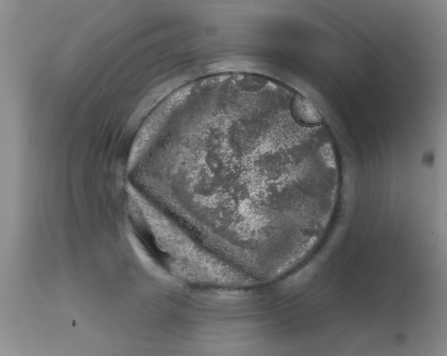 X0000113860849200910151234