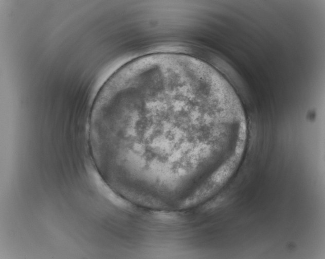 X0000113860852200910151235