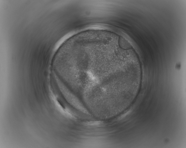 X0000113860853200910151235