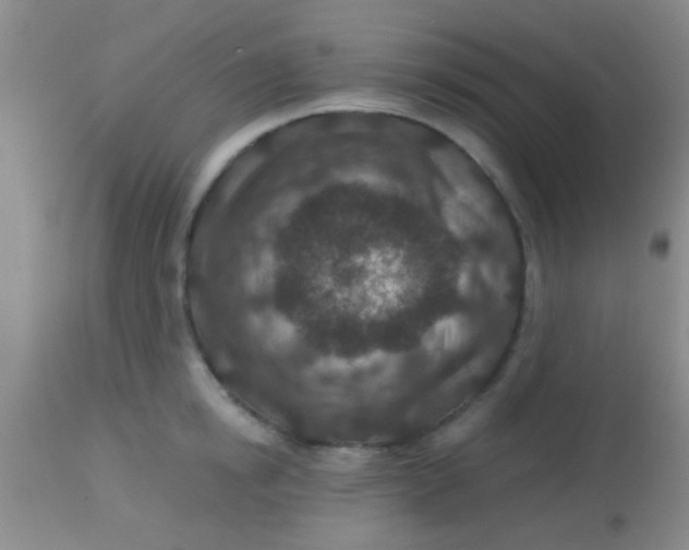 X0000113860854200910151235