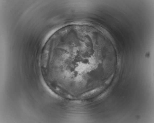 X0000113860855200910151235