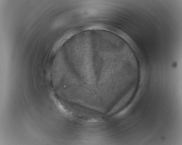 X0000113860857200910151235
