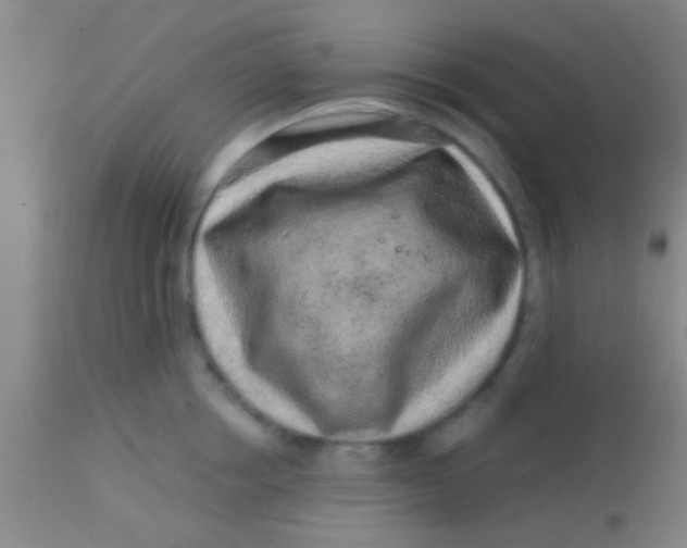 X0000113860858200910151235