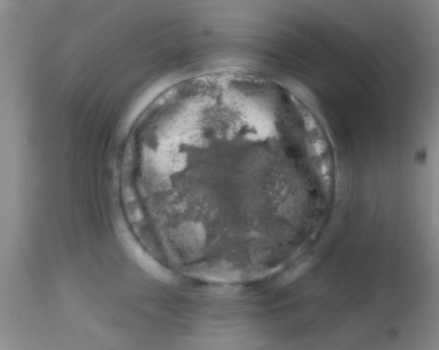 X0000113860859200910151235