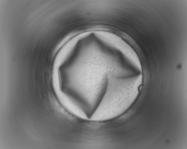 X0000113860860200910151235