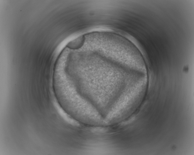 X0000113860861200910151235