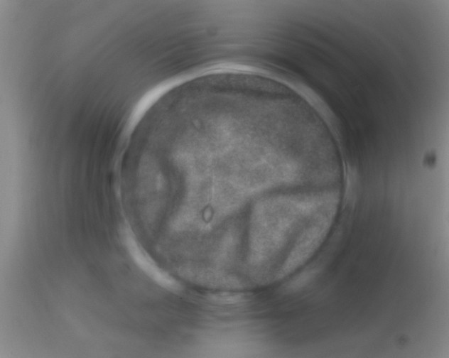 X0000113860862200910151235