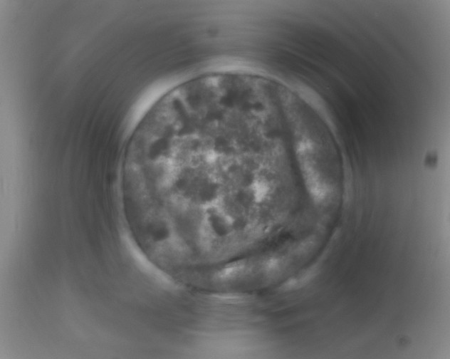 X0000113860863200910151235