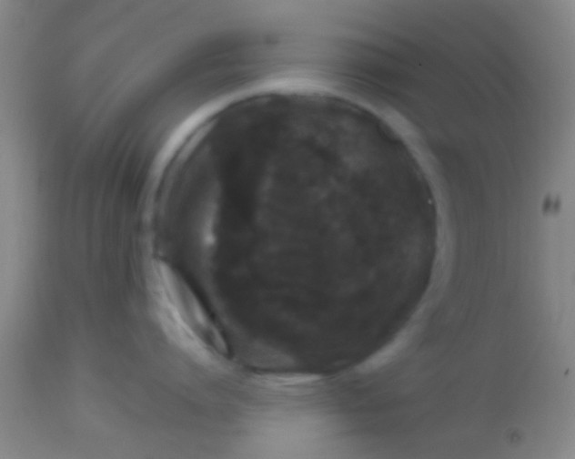 X0000113860864200910151235