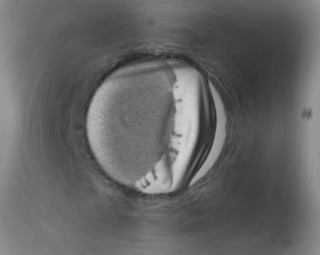 X0000113860865200910151234