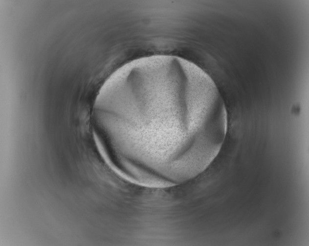 X0000113860866200910151234