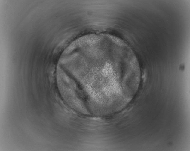 X0000113860867200910151234