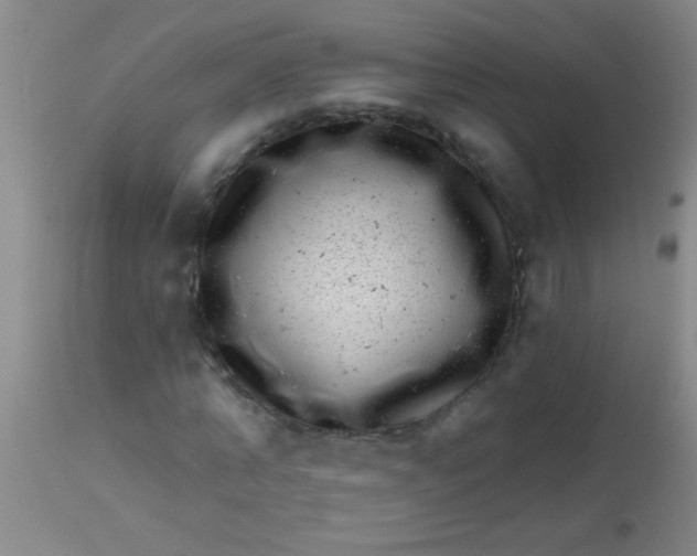 X0000113860870200910151234