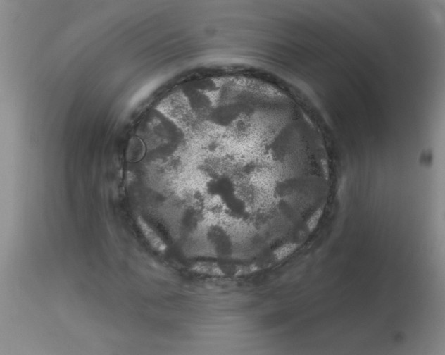X0000113860871200910151234
