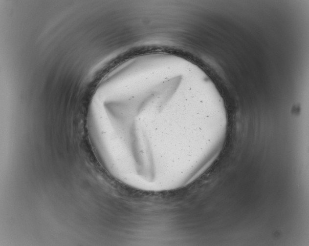 X0000113860872200910151234