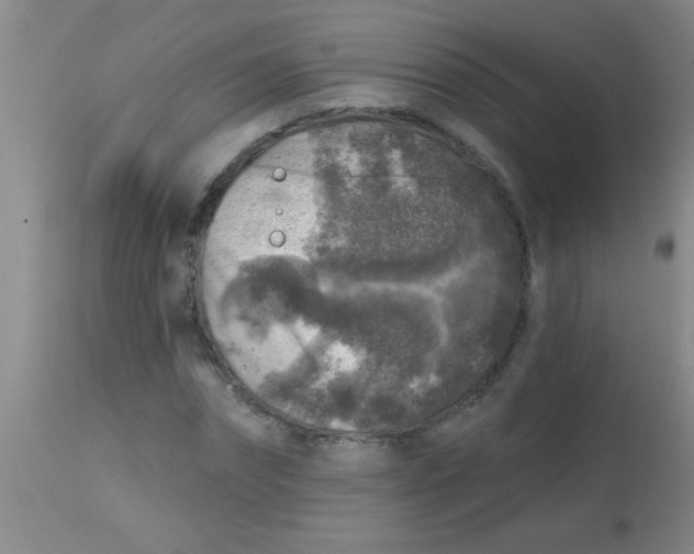 X0000113860874200910151234