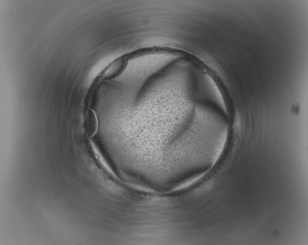 X0000113860877200910151234
