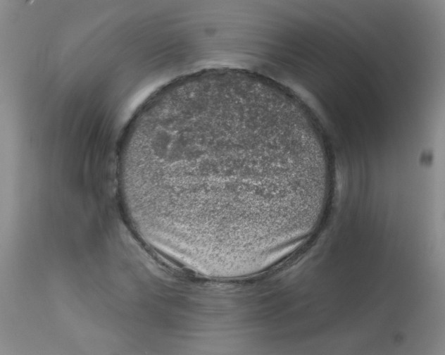 X0000113860878200910151234