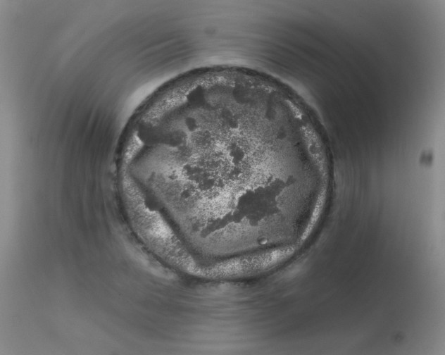 X0000113860879200910151234