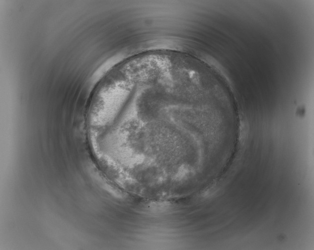 X0000113860882200910151234