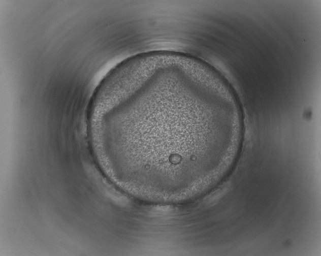 X0000113860883200910151234