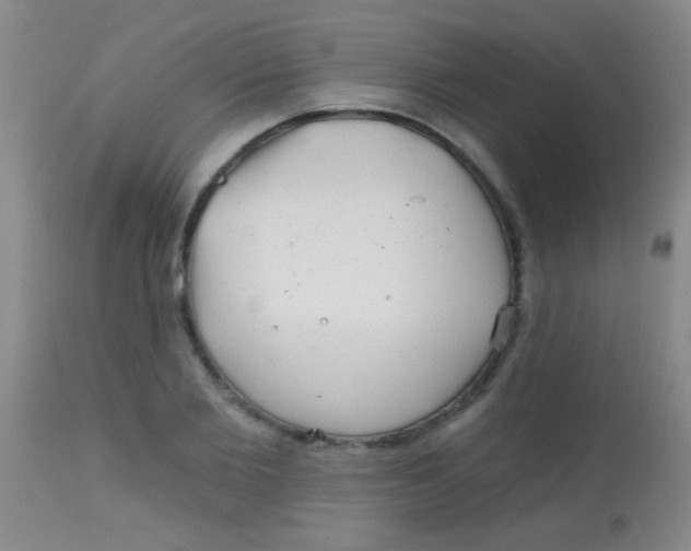 X0000113860885200910151234