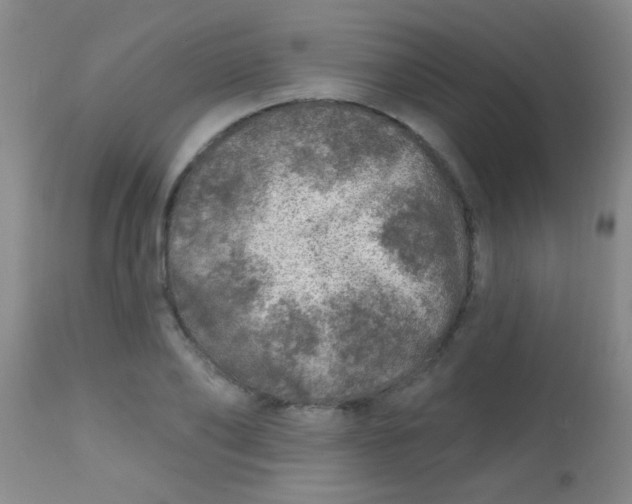 X0000113860886200910151234