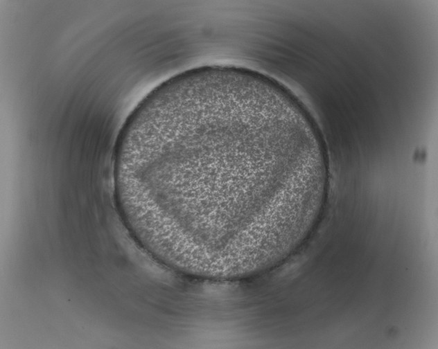 X0000113860887200910151234
