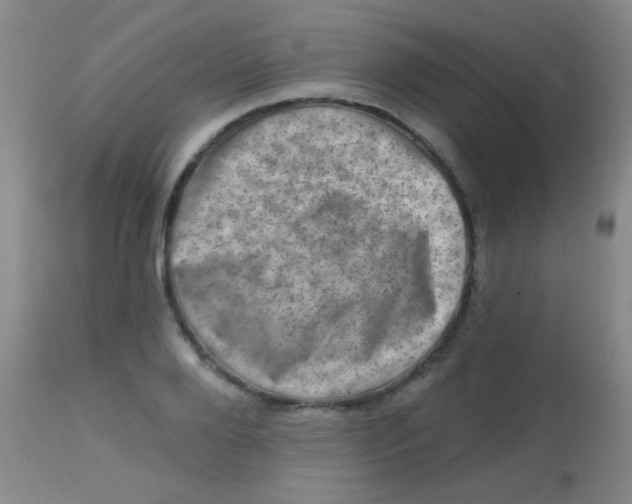 X0000113860888200910151234
