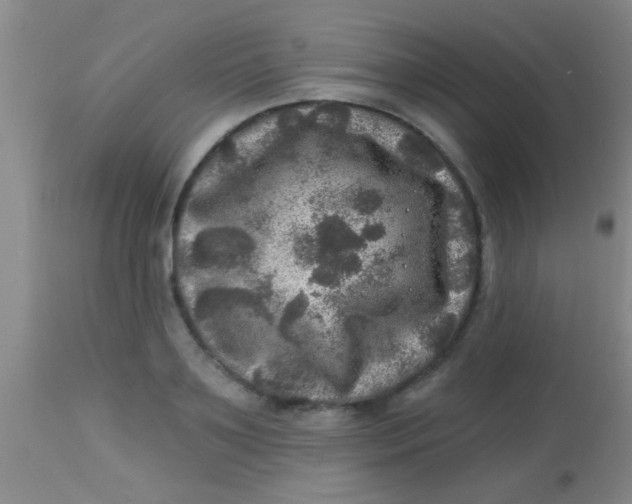 X0000113860891200910151233