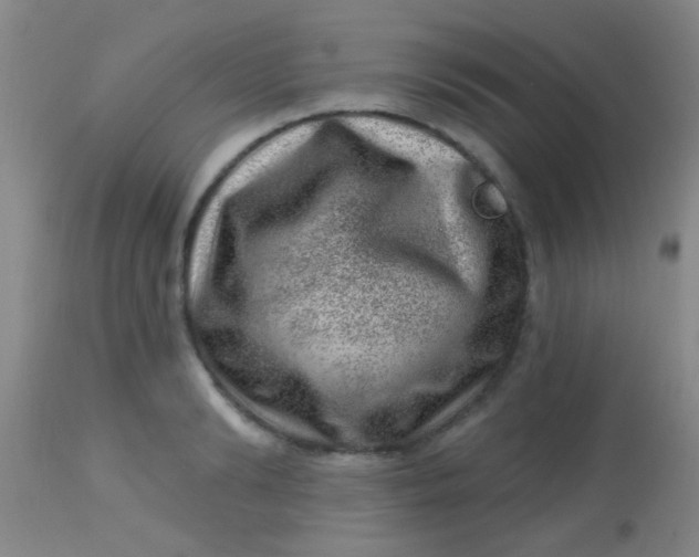 X0000113860894200910151233