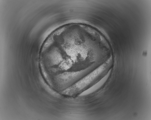 X0000113860895200910151233