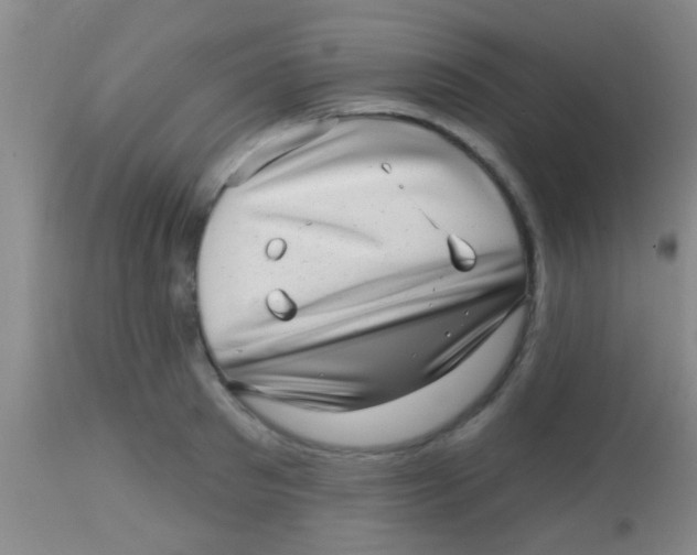 X0000113860897200910151233